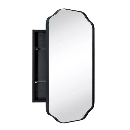 TEHOME Osterhus 18 in. W. x 29 in.Arched Metal Rectangular Surface Mount Medicine Cabinet with Mirror in Matt Black